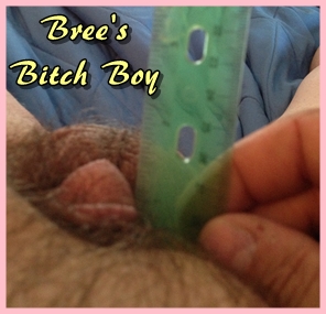Bree Bitch Boy